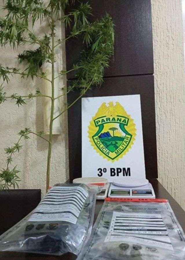 Homem é preso por tráfico de drogas durante atendimento de violência doméstica em Pato Branco